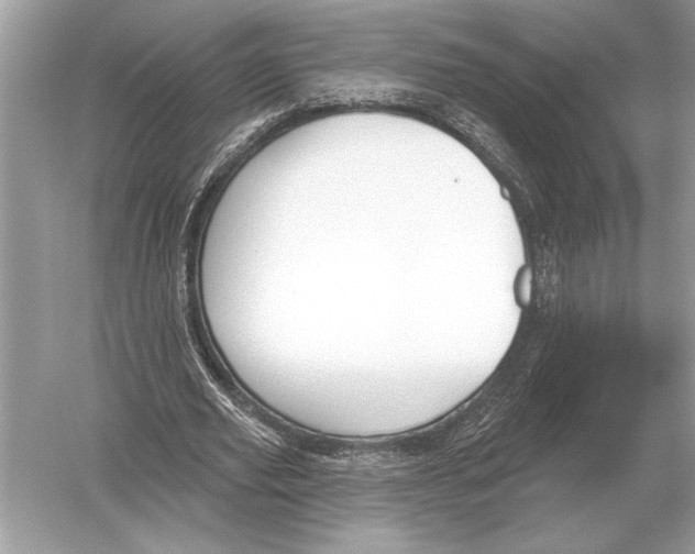 X0000051920629200507222135