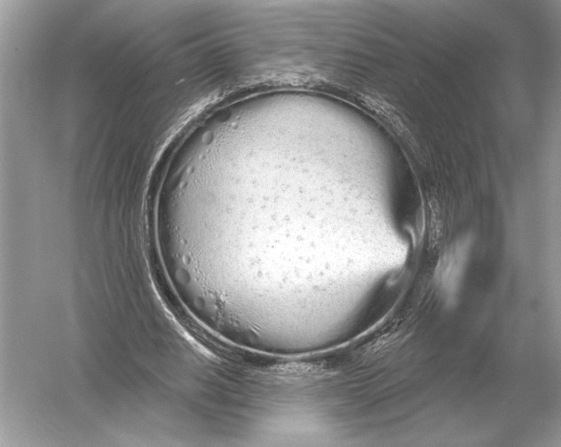 X0000051920630200507222135