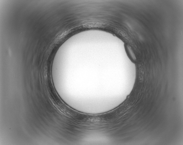 X0000051920631200507222135