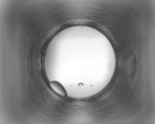 X0000051920633200507222135