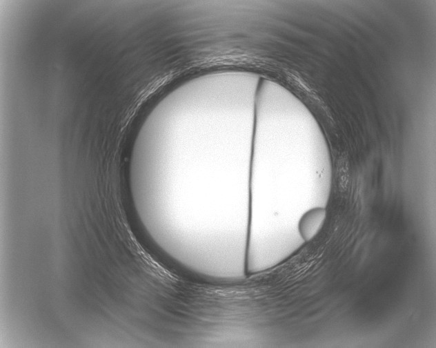 X0000051920637200507222135