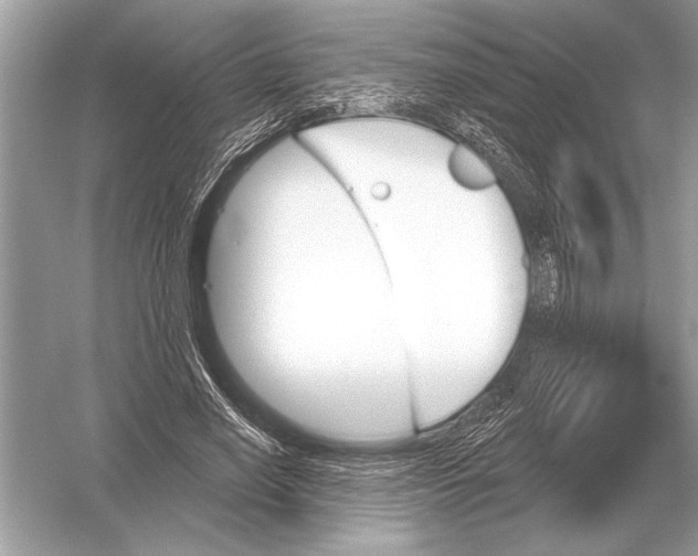 X0000051920638200507222135