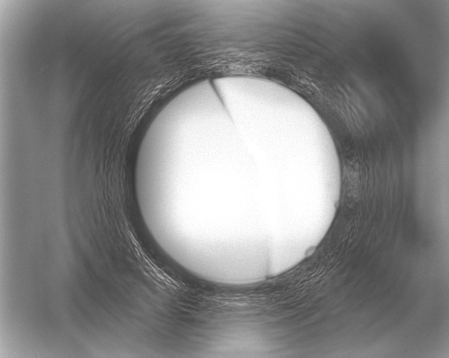 X0000051920642200507222135