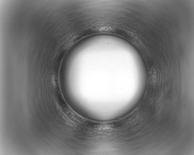 X0000051920643200507222135