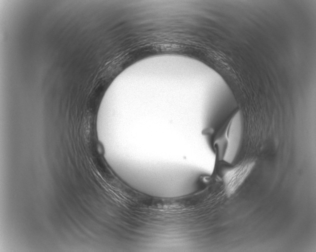 X0000051920645200507222135