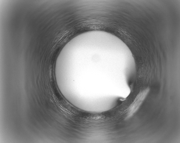 X0000051920646200507222135