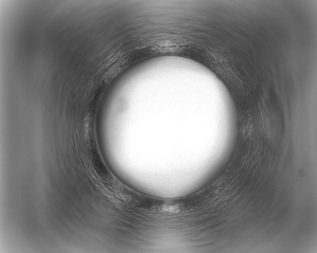 X0000051920647200507222135