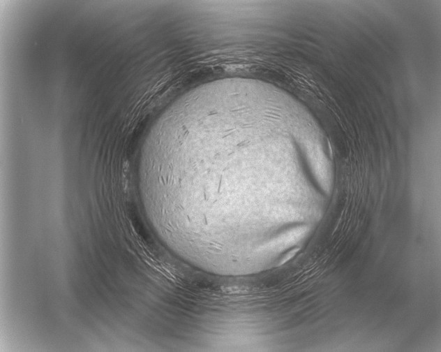 X0000051920650200507222135