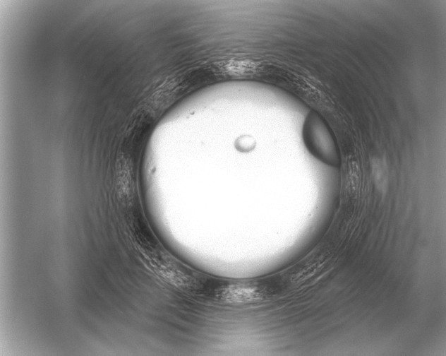 X0000051920651200507222135