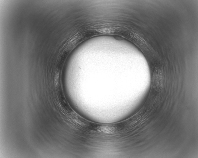 X0000051920652200507222135