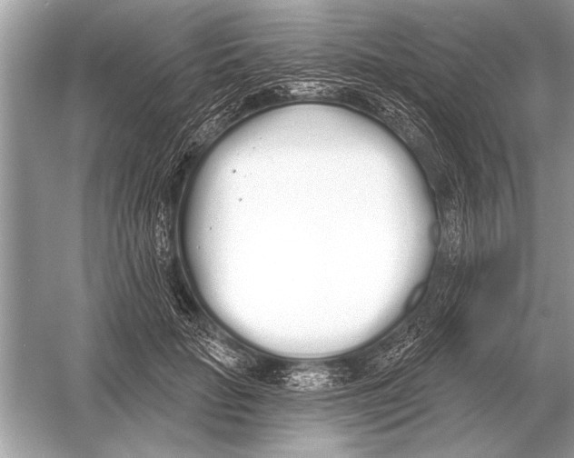 X0000051920653200507222136