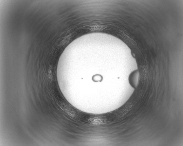 X0000051920655200507222136