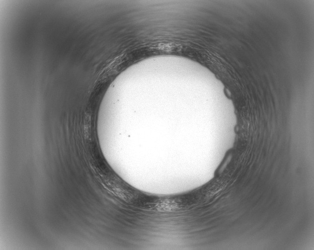 X0000051920656200507222136