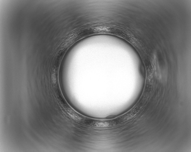 X0000051920658200507222136