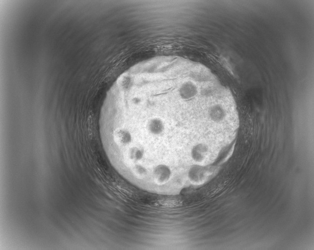 X0000051920659200507222136