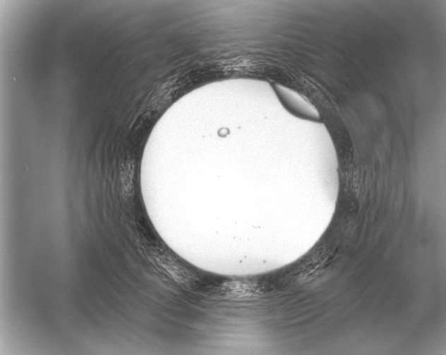 X0000051920660200507222136