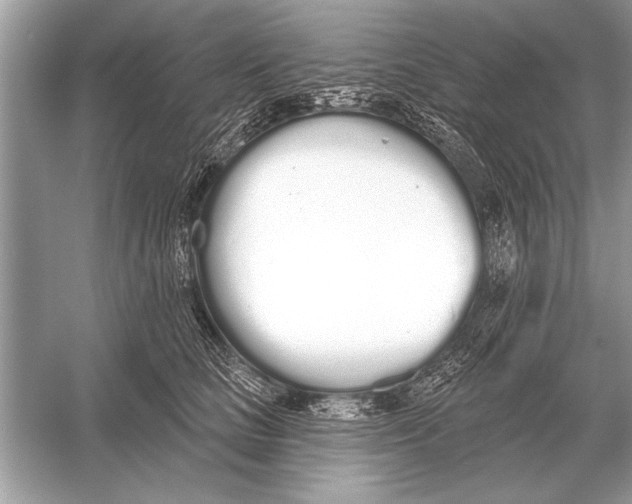 X0000051920661200507222136