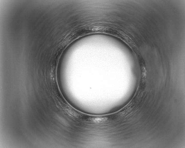 X0000051920663200507222136