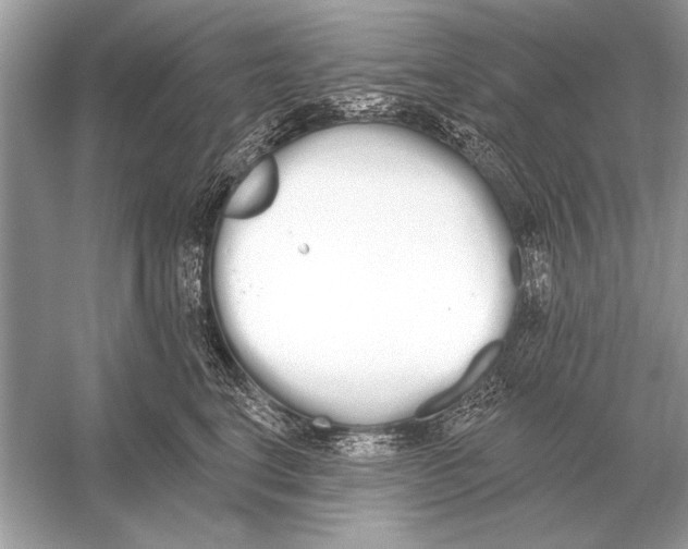 X0000051920664200507222136