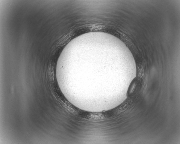 X0000051920666200507222136