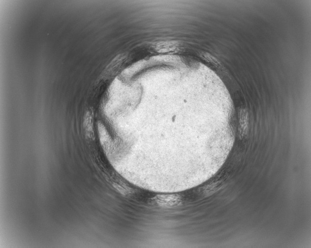 X0000051920667200507222136