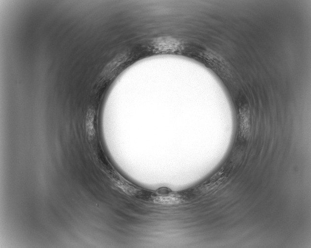 X0000051920668200507222136