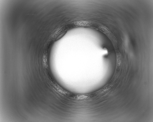 X0000051920669200507222136