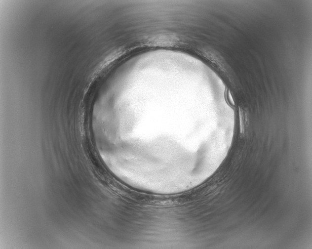 X0000051920675200507222135