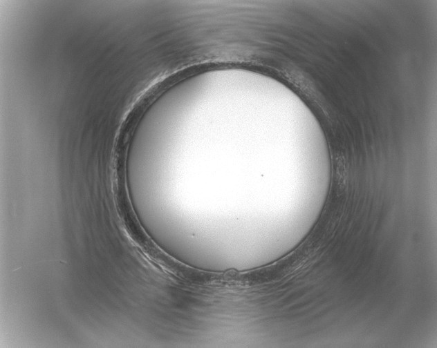 X0000051920676200507222135