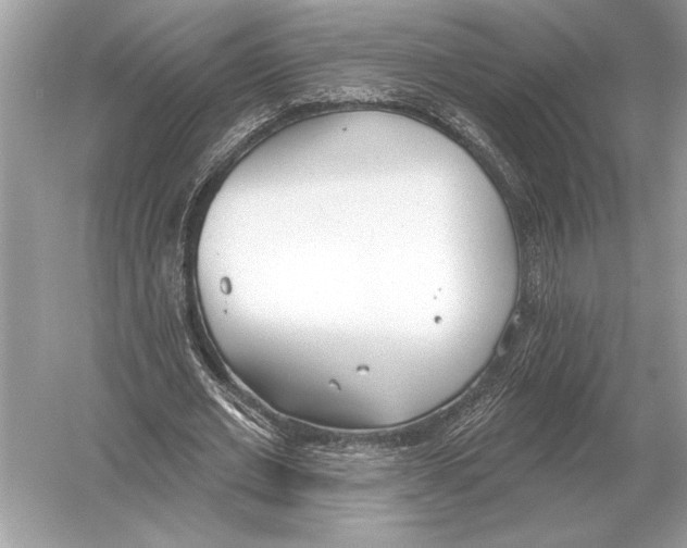 X0000051920677200507222135