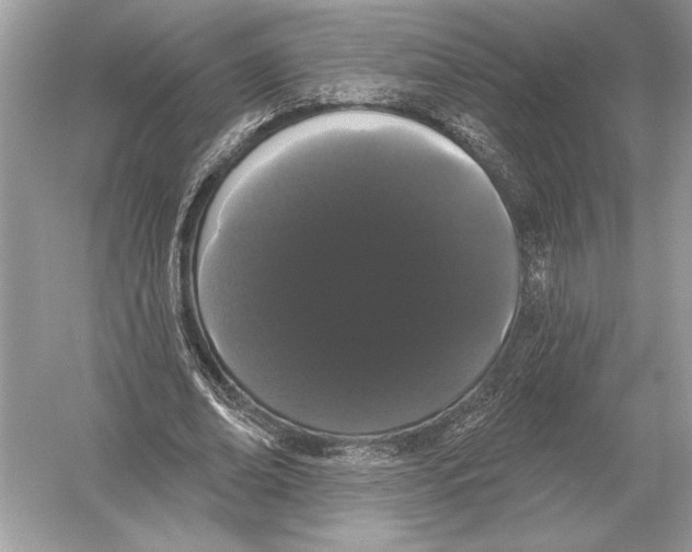 X0000051920678200507222135