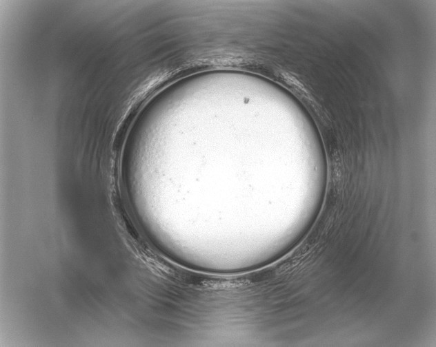 X0000051920679200507222135