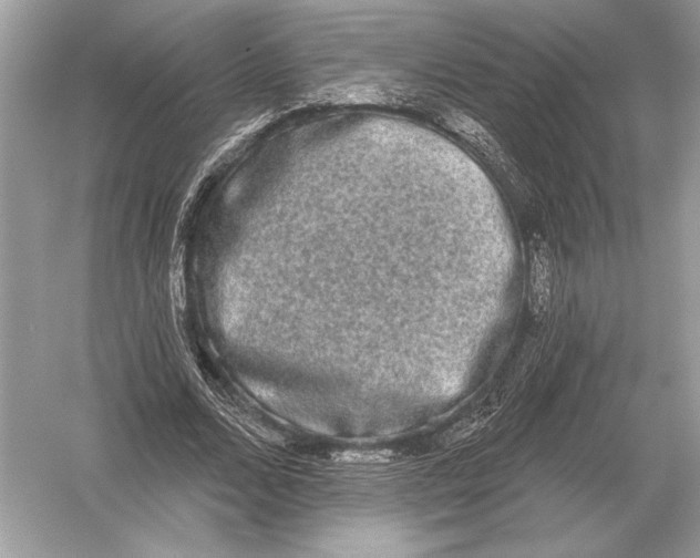 X0000051920680200507222135