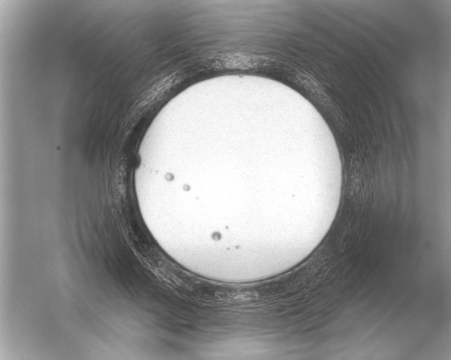 X0000051920683200507222135