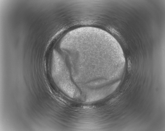 X0000051920684200507222135