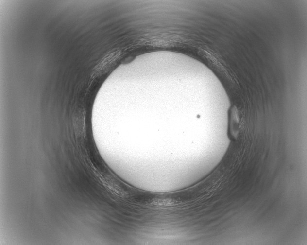 X0000051920685200507222135