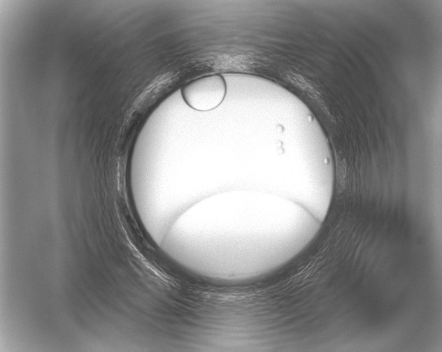 X0000051920686200507222135