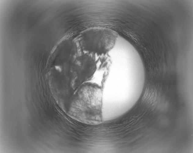 X0000051920687200507222135