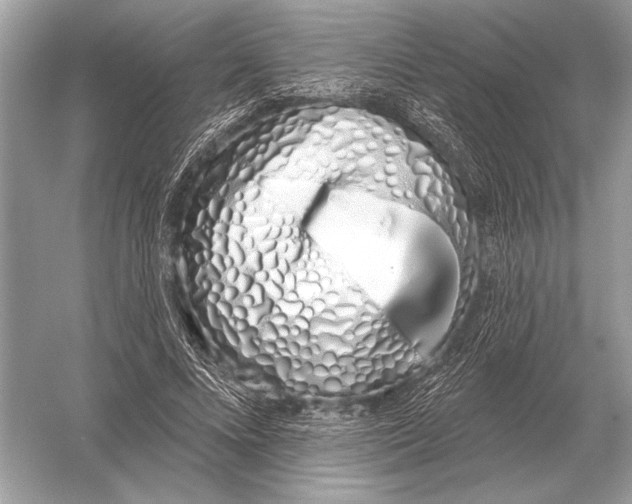 X0000051920688200507222135