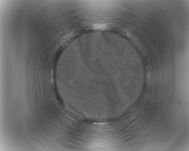 X0000051920689200507222135