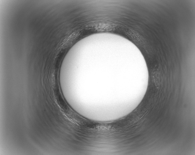 X0000051920690200507222135