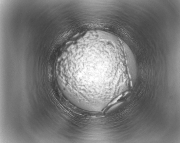 X0000051920692200507222135