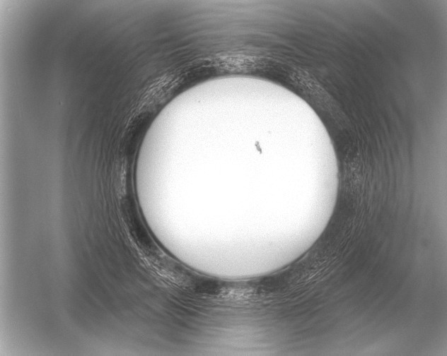 X0000051920694200507222135