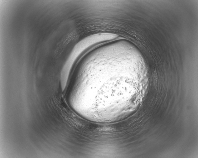 X0000051920695200507222135