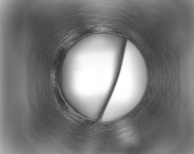 X0000051920696200507222135