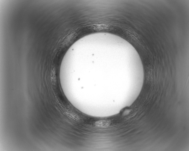 X0000051920700200507222135