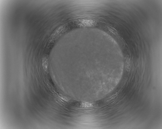 X0000051920701200507222135