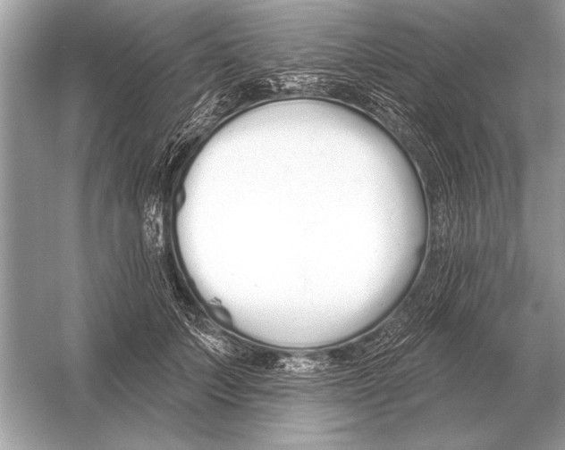 X0000051920703200507222135