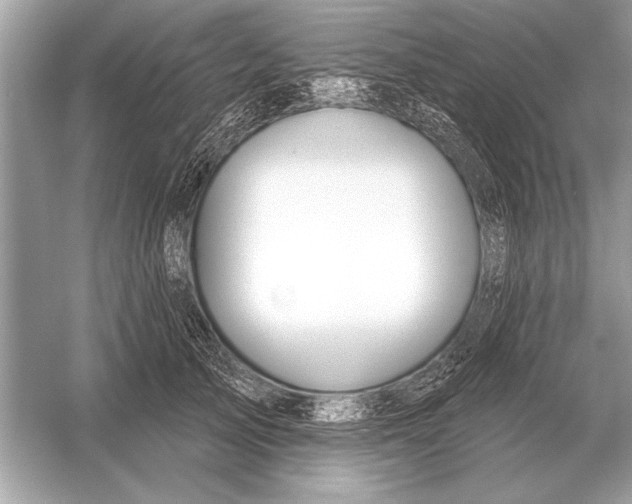 X0000051920705200507222134