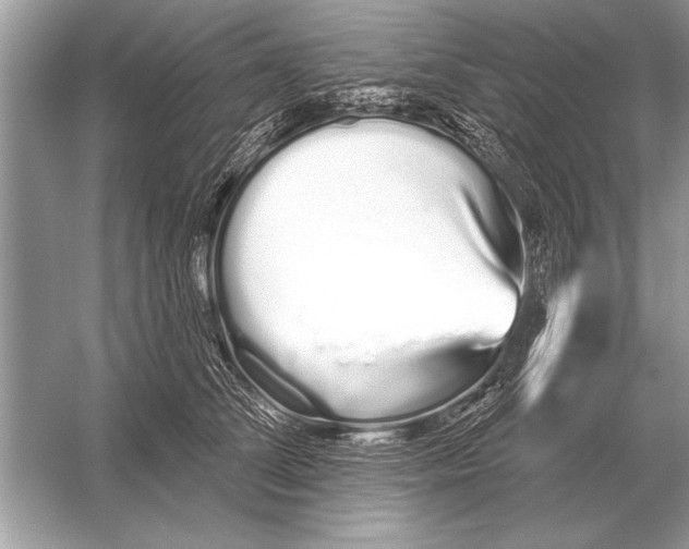 X0000051920708200507222134